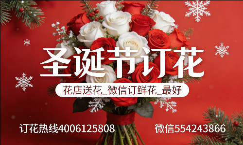 深圳福田区花店送花_微信订鲜花_圣诞节订花_最好? 深圳福田区花店